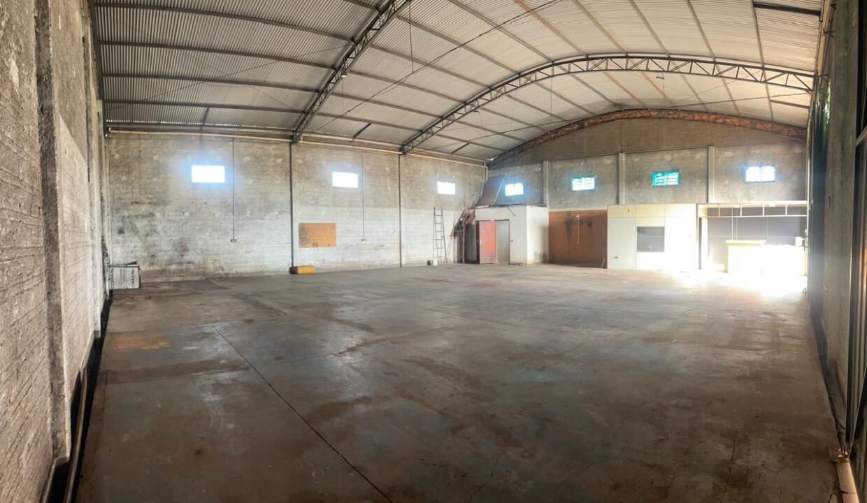 WhatsApp Image 2025-11-13 at 10.53.53