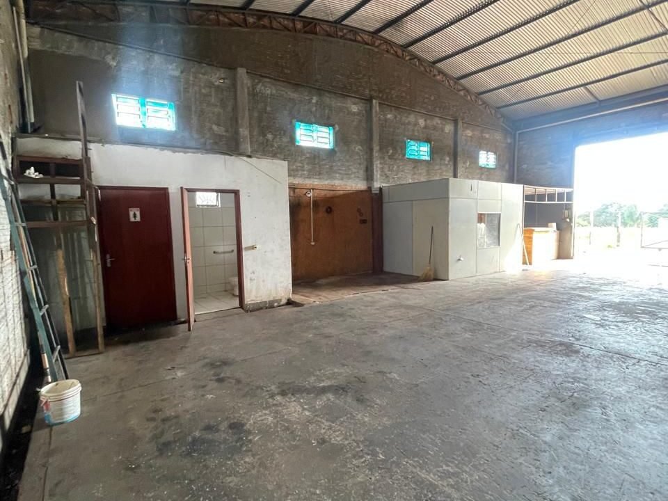 WhatsApp Image 2025-11-13 at 10.53.54