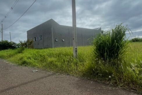 WhatsApp Image 2026-02-09 at 10.05.13