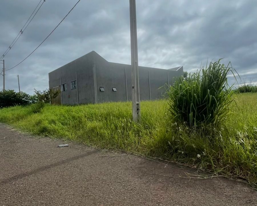 WhatsApp Image 2026-02-09 at 10.05.13