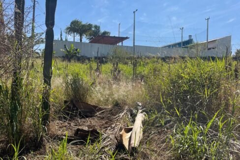 WhatsApp Image 2026-02-09 at 16.53.52 (3)