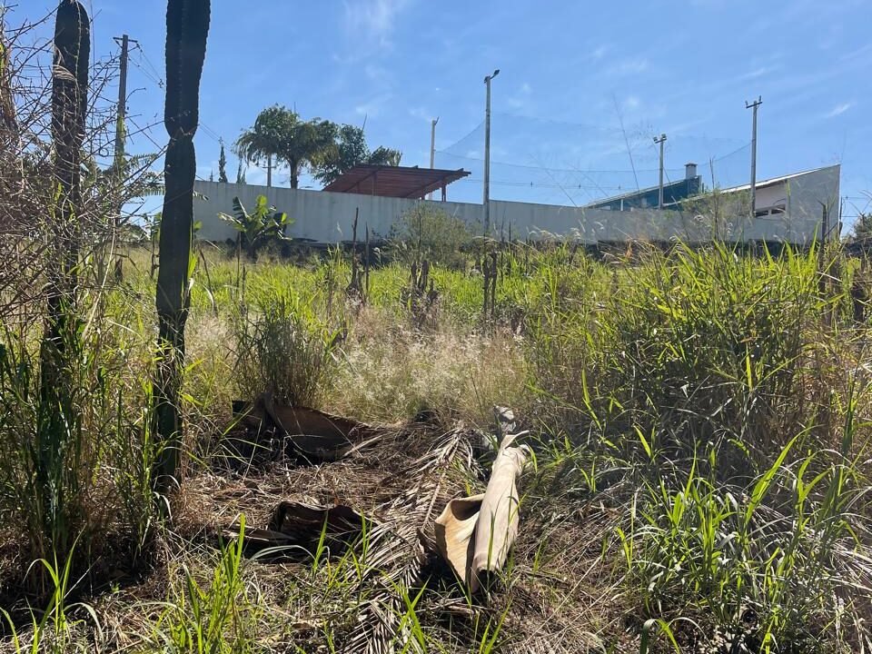 WhatsApp Image 2026-02-09 at 16.53.52 (3)