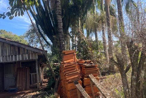 WhatsApp Image 2026-02-09 at 16.53.52