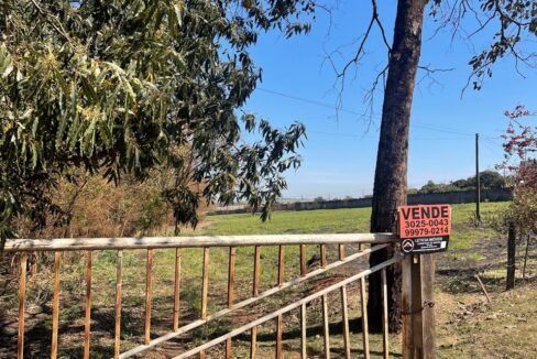 WhatsApp Image 2026-02-09 at 16.53.52 (6)