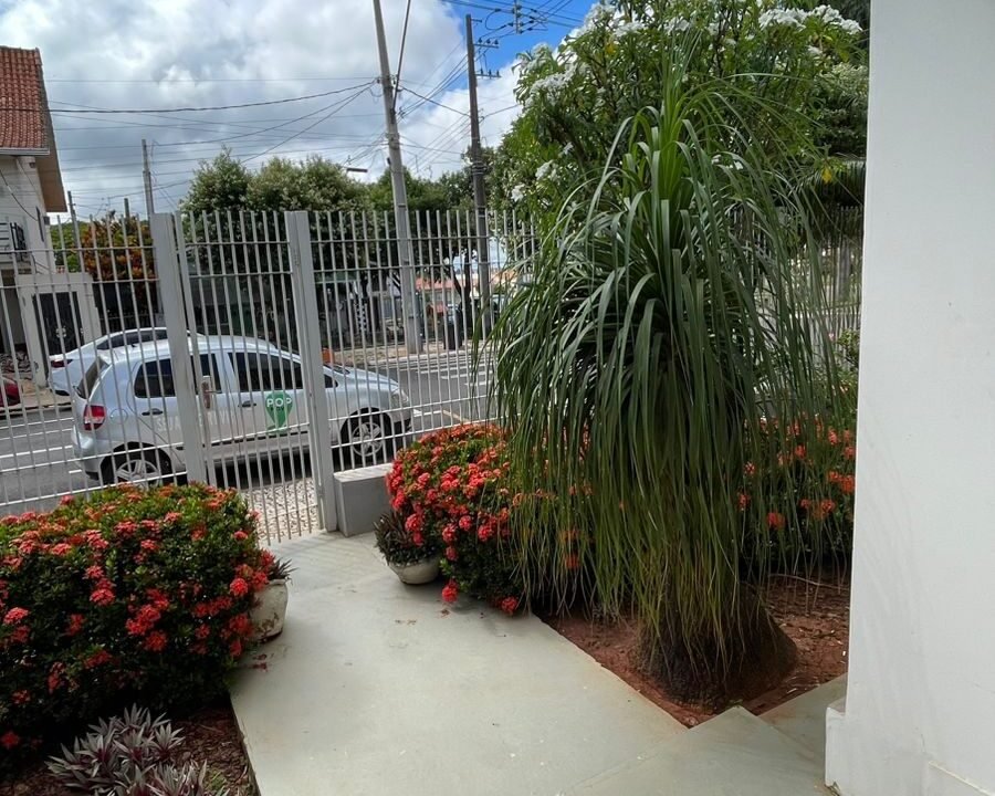 WhatsApp Image 2026-02-12 at 16.50.47 (1)